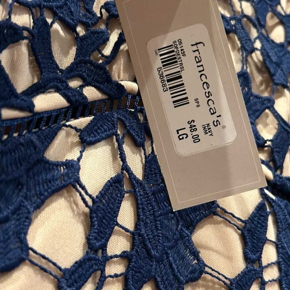 NWT Beautiful beige dress with blue lace overlay - Picture 4 of 5